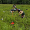 The Evolution of Plant Conservation in Anoka County, MN