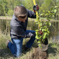 Engaging Youth in Plant Conservation in Anoka County, MN