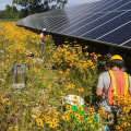 Using Technology to Preserve Plant Life in Anoka County, MN