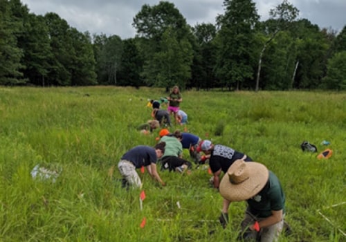 The Struggles of Protecting Plant Life in Anoka County, MN