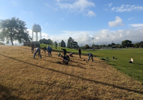 Engaging the Public in Plant Conservation Efforts in Anoka County, MN