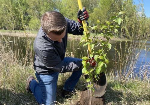 Engaging Youth in Plant Conservation in Anoka County, MN