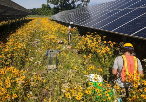 Using Technology to Preserve Plant Life in Anoka County, MN